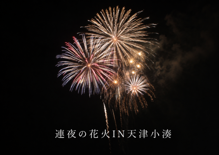 連夜の花火in天津小湊2026