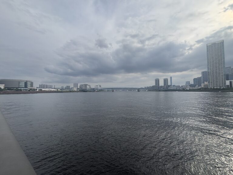 東京湾大華火2026
